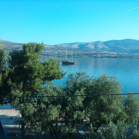 Apartment Nikica Trogir Kültér fotó